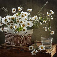 Схема вышивки «№657436»