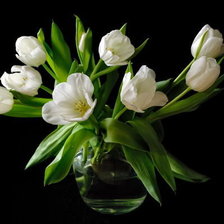 Схема вышивки «№657439»