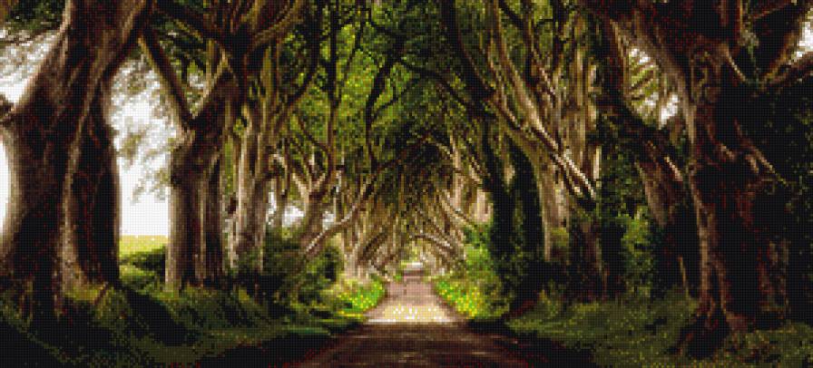 тунель - природа, деревья - предпросмотр