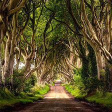 Схема вышивки «тунель»