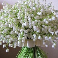 Схема вышивки «№657635»