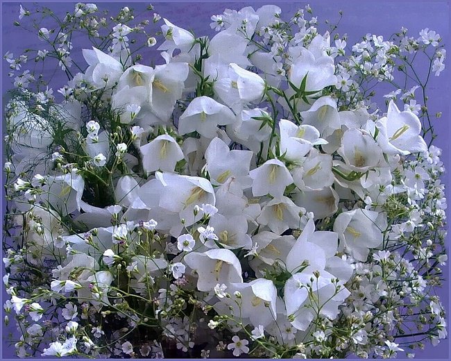 колокольчики - оригинал