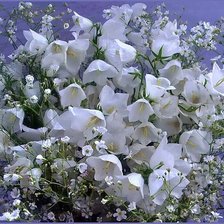 Схема вышивки «колокольчики»