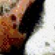Предпросмотр схемы вышивки «Тигр» (№657747)