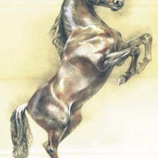 Схема вышивки «Конь»