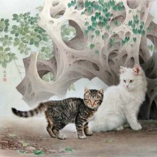 на прогулке