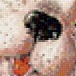 Предпросмотр схемы вышивки «щенок» (№657873)