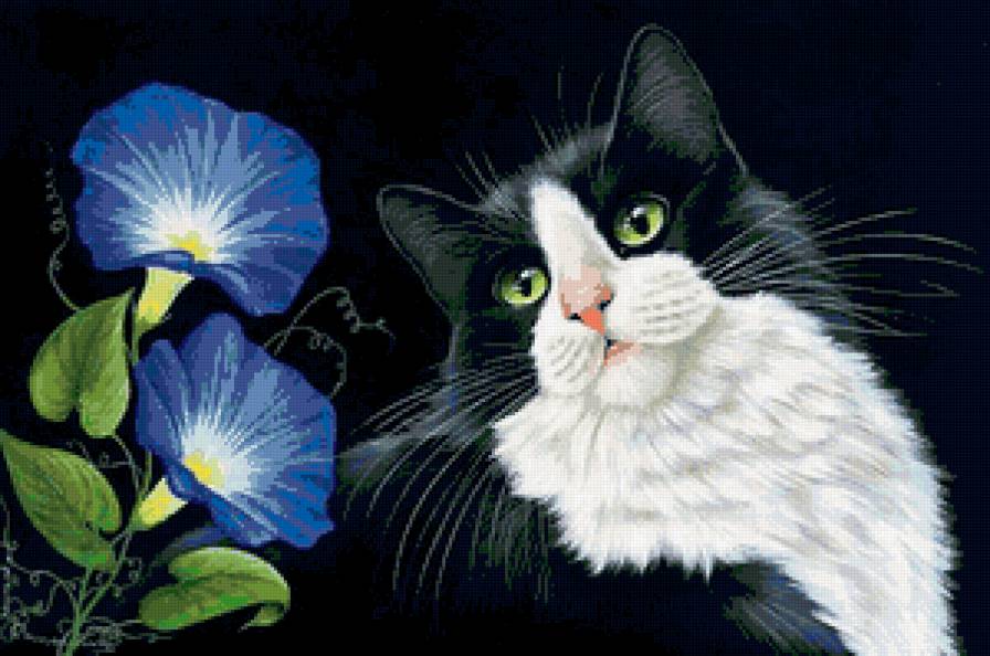 красавец - кот, коты, котики - предпросмотр