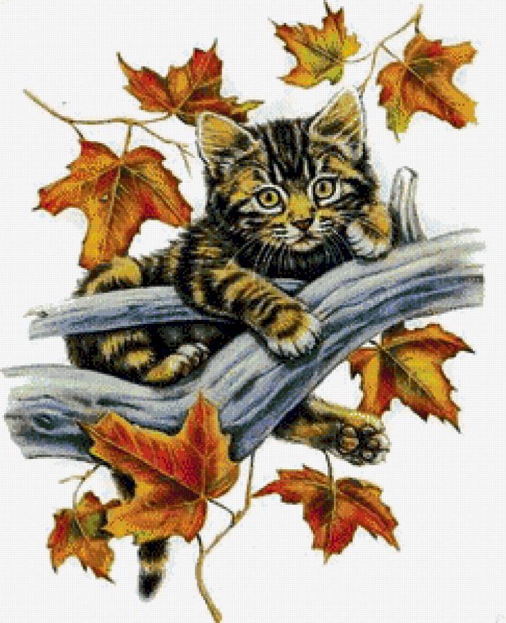 Котёнок - животные, кот, кошка - предпросмотр