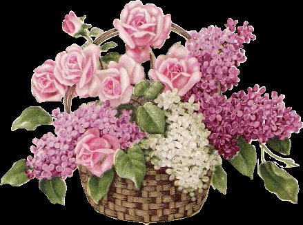 розовые розы - оригинал