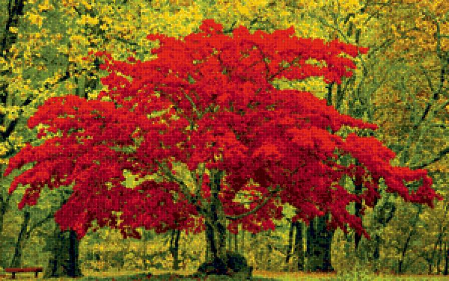 №658156 - предпросмотр