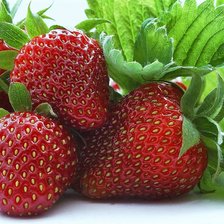 Схема вышивки «клубника»