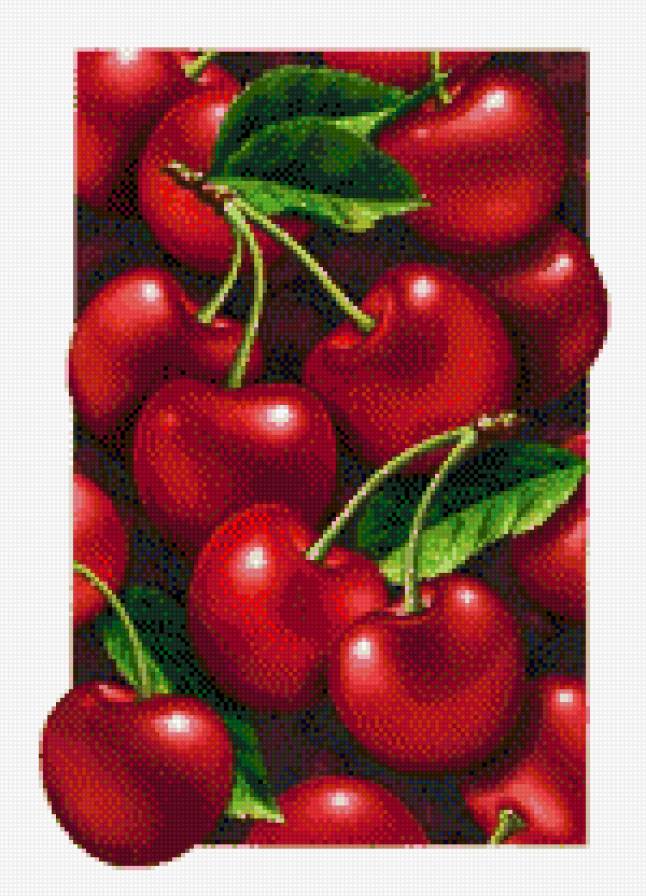 вишня - предпросмотр