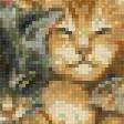 Предпросмотр схемы вышивки «котята в корзинке» (№658199)