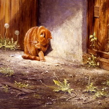 Схема вышивки «утренний туалет»