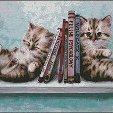 ученые котята