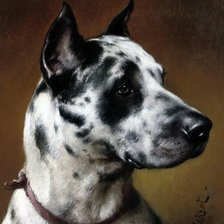 Схема вышивки «собаки»