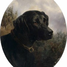 Схема вышивки «собаки»