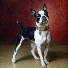 Схема вышивки «собаки»