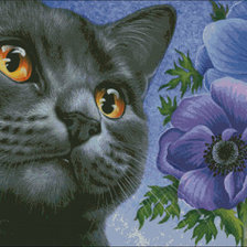 Схема вышивки «кот»