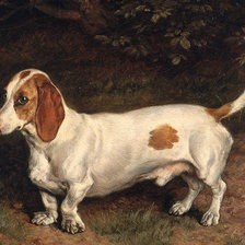 Схема вышивки «собаки»