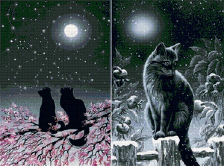 портреты - котики - предпросмотр