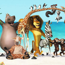 Схема вышивки «Мадагаскар»