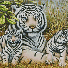 Схема вышивки «тигрята»