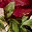 Предпросмотр схемы вышивки «пионы» (№658531)