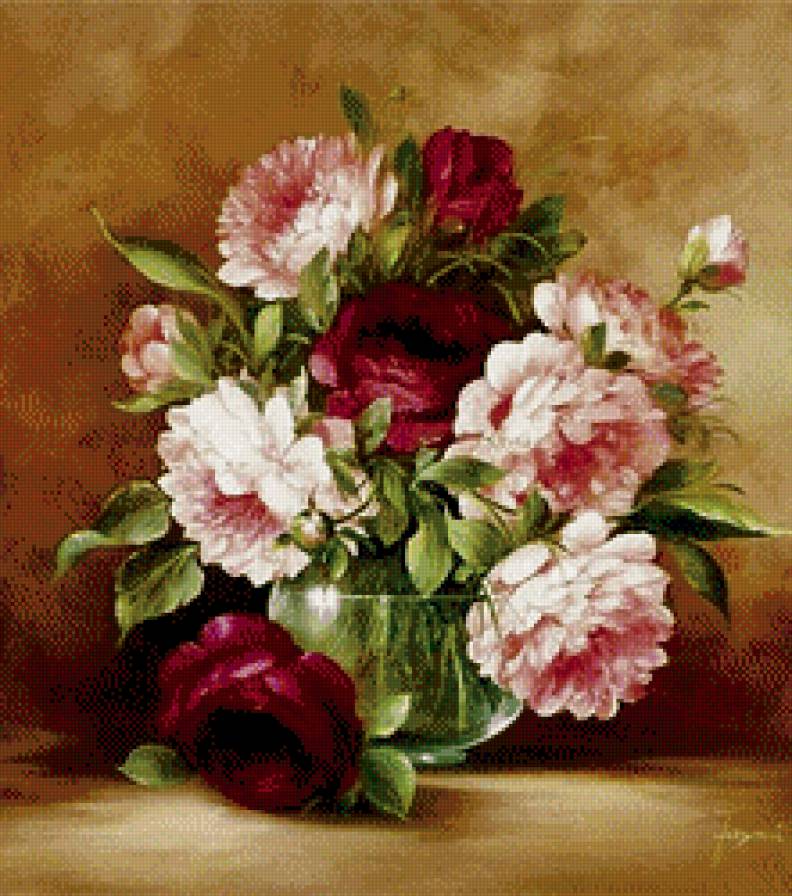 пионы - цветы - предпросмотр