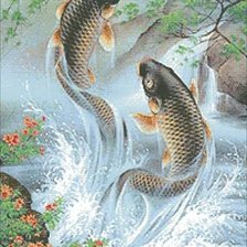 Схема вышивки «карпы»