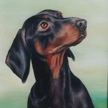 Схема вышивки «Такса»