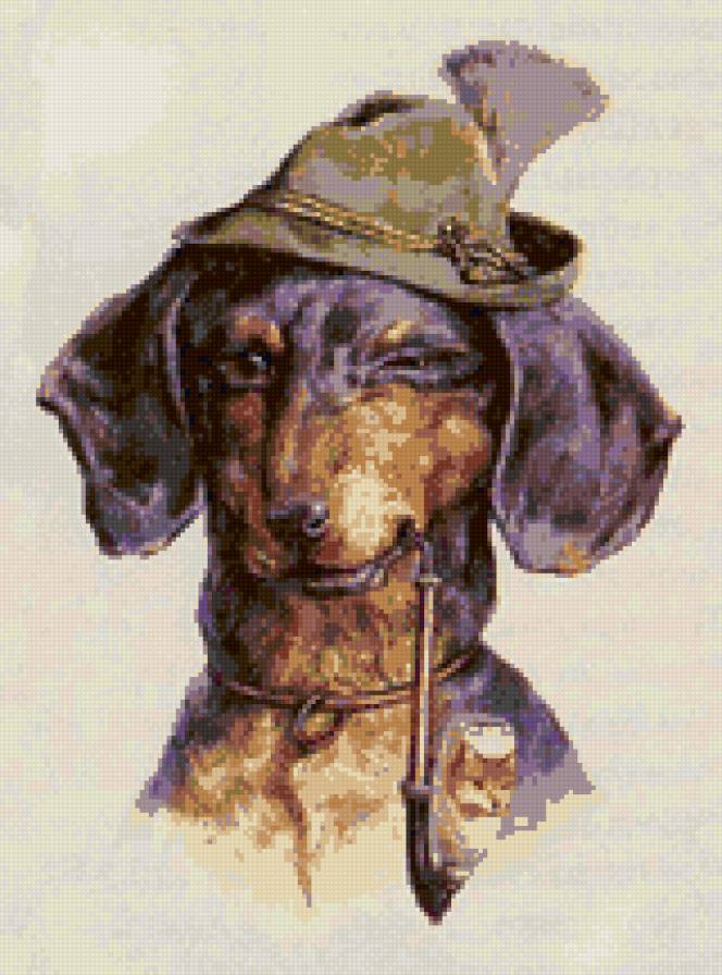 похоже чем-то на таксу - предпросмотр