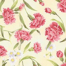 Схема вышивки «Подушка "Гвоздики"»