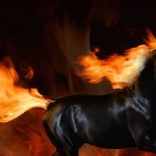 Схема вышивки «Огненный конь»