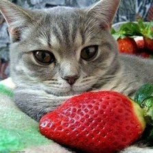 вкусная клубничка