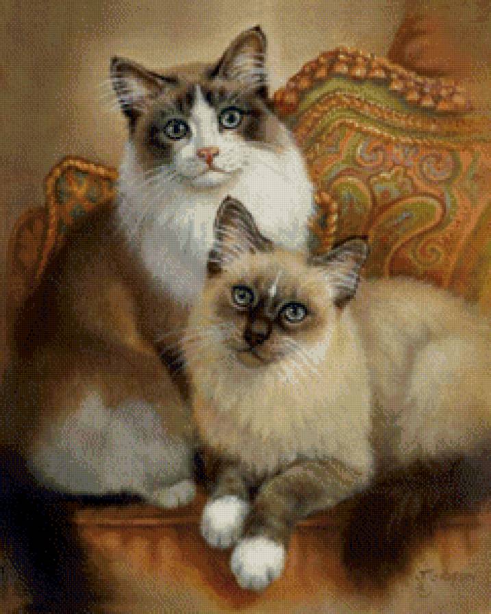 кошки - предпросмотр