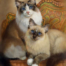 Схема вышивки «кошки»