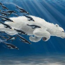 Схема вышивки «На полюсе»