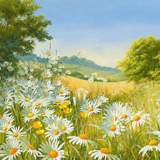 Схема вышивки «луговые цветы»