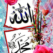 Схема вышивки «flori allah»