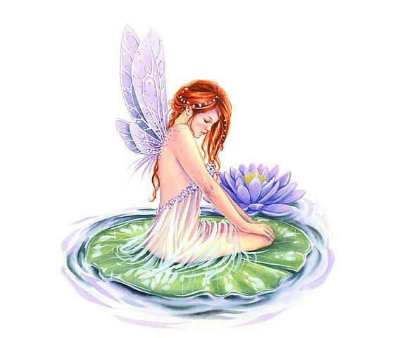 синий лотос - люди - оригинал