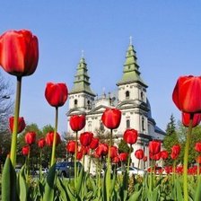 Схема вышивки «ternopil»