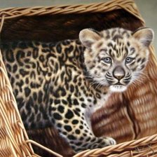 Схема вышивки «котенок в коробке»