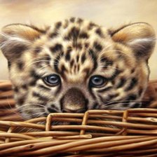 Схема вышивки «котенок ягуара»