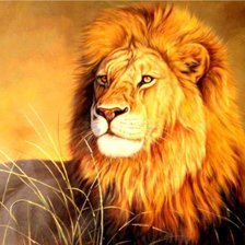 Схема вышивки «огненный лев»