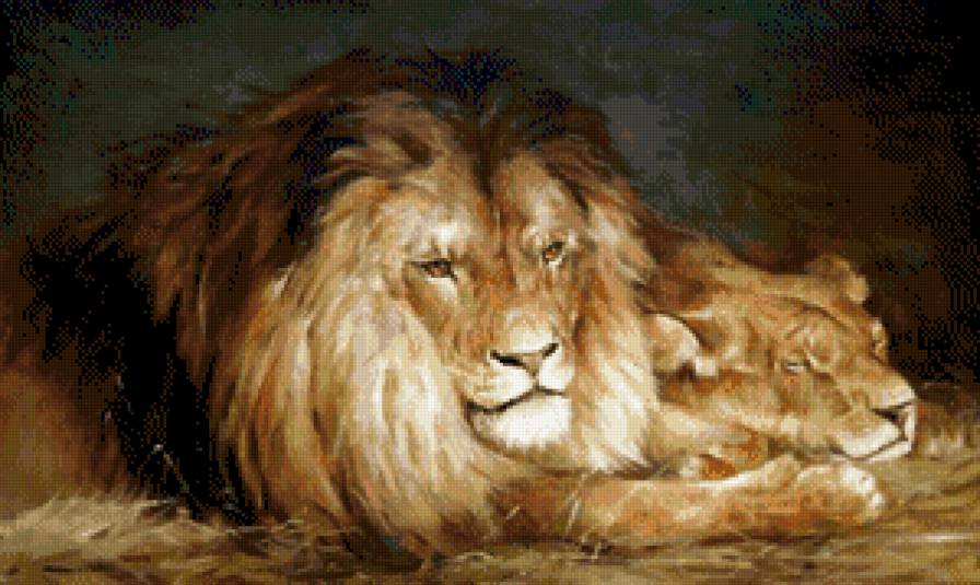 львы отдыхают - животные, живопись, лев, львы - предпросмотр