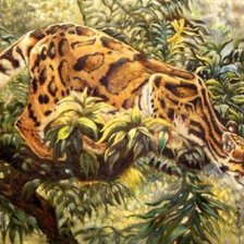 Схема вышивки «мастер маскировки»