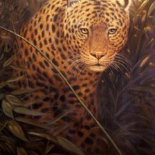 Схема вышивки «ягуар»