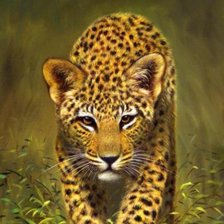 Схема вышивки «ягуар»